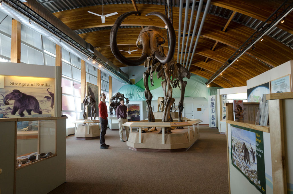 Yukon-museum-woolly-mammoth