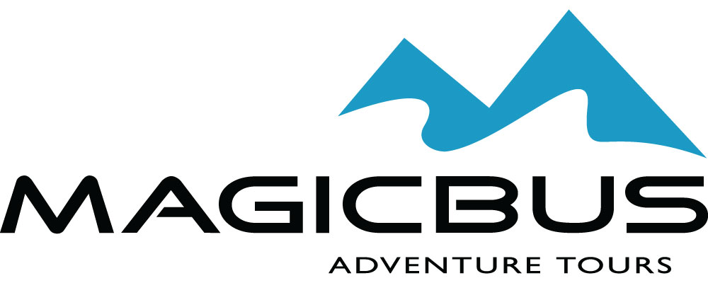 MagicBus Partner Logo